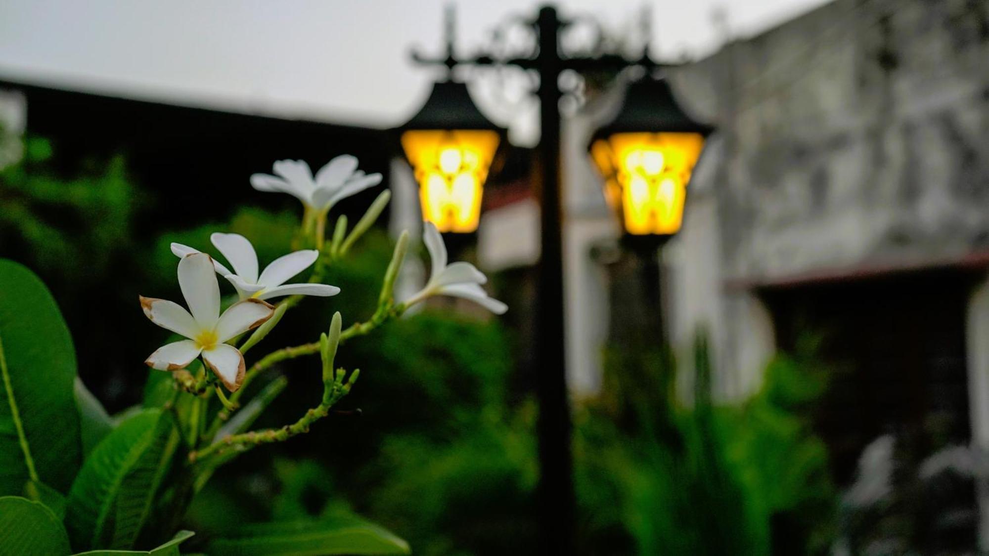 Stay Banaras - A Boutique Hotel — Photos 2